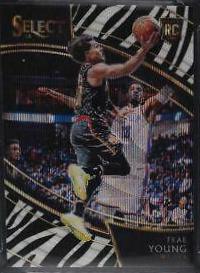 Trae Young [Zebra Prizm] #249