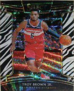 Troy Brown [Zebra Prizm] #47