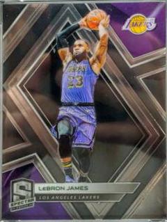 LeBron James [Silver] #7
