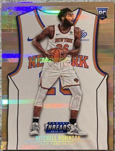 Mitchell Robinson [Premium] #119