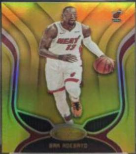Bam Adebayo #8