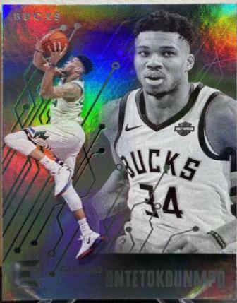 Giannis Antetokounmpo #221