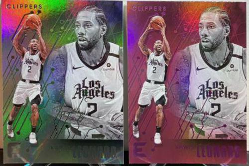 Kawhi Leonard #209