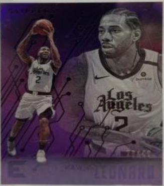 Kawhi Leonard [Purple] #209
