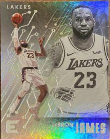 LeBron James #223