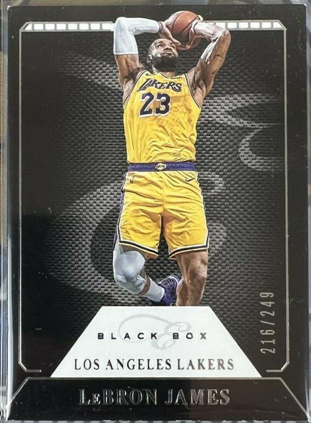 LeBron James #324
