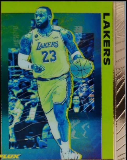 LeBron James #591