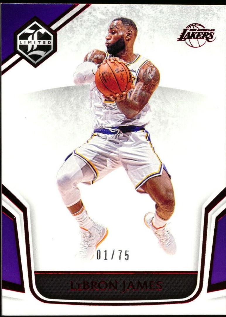 LeBron James Red #374