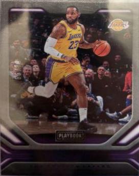 LeBron James [Blue] #176