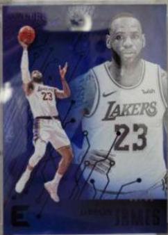 LeBron James [Blue] #223