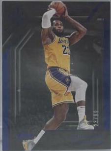 LeBron James [Blue] #348