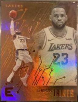 LeBron James [Bronze] #223