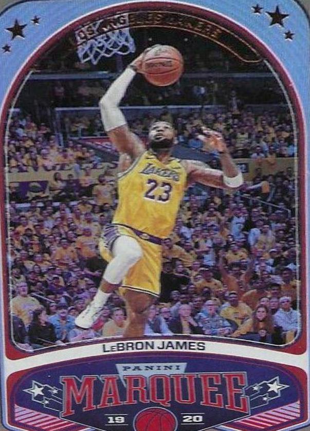 LeBron James [Bronze] #245