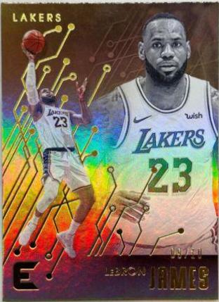 LeBron James [Gold] #223