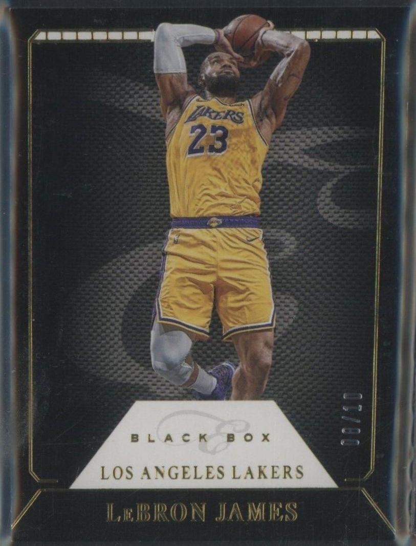 LeBron James [Gold] #324