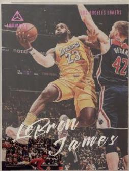 LeBron James [Pink] #162