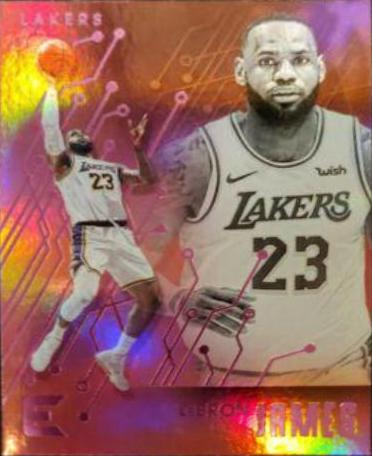 LeBron James [Pink] #223