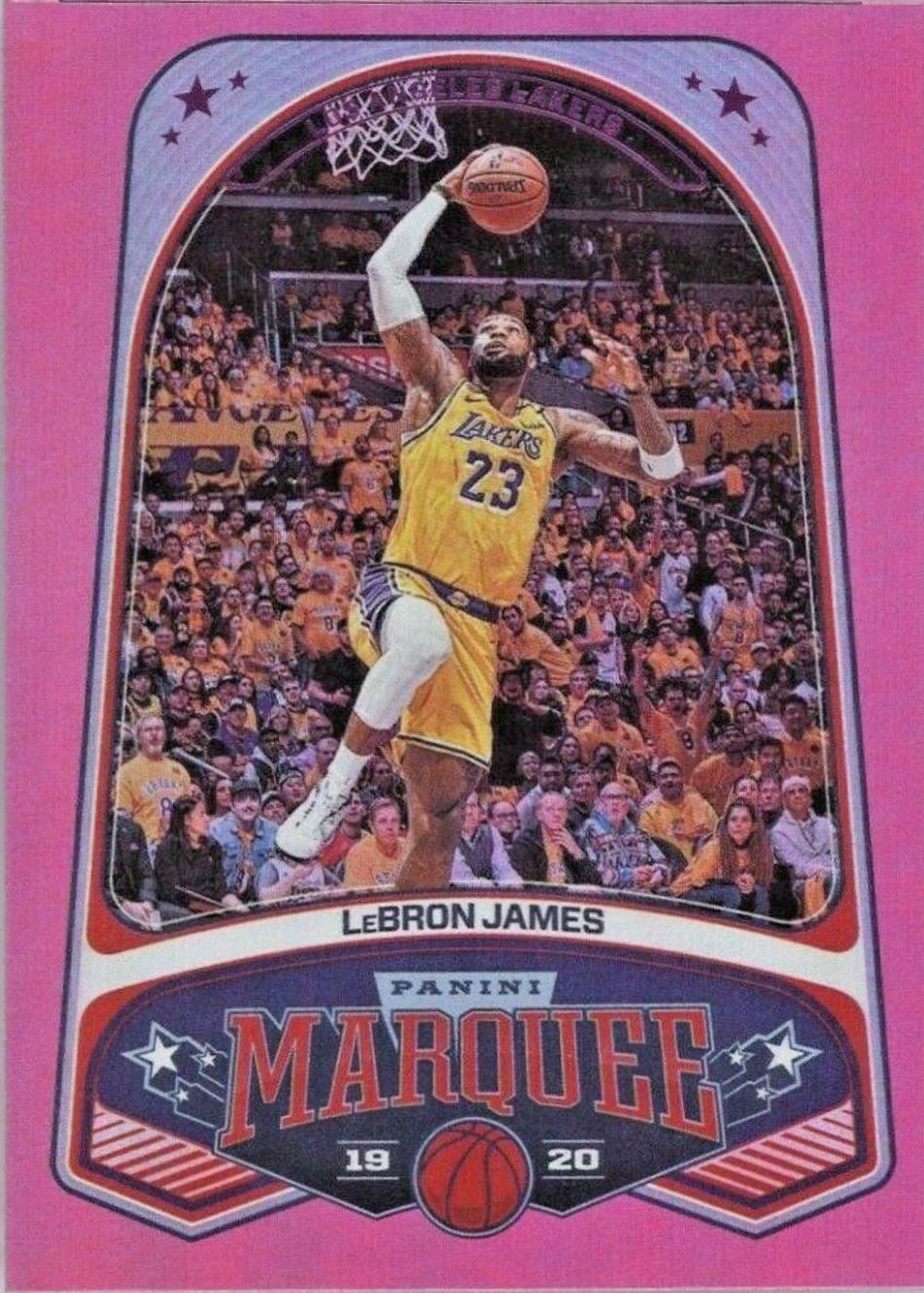 LeBron James [Pink] #245