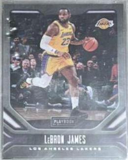 LeBron James [Purple] #176