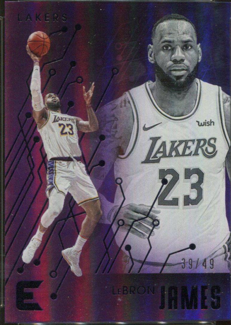 LeBron James [Purple] #223