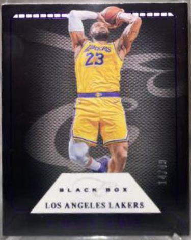 LeBron James [Purple] #324