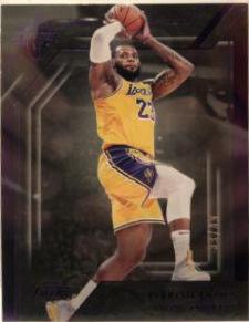 LeBron James [Purple] #348