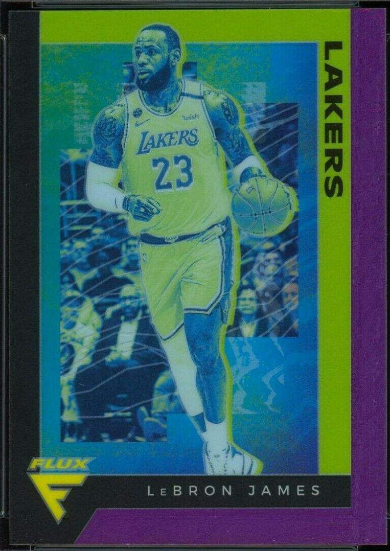 LeBron James [Purple] #591