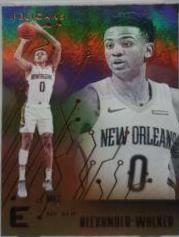 Nickeil Alexander Walker [Bronze] #231