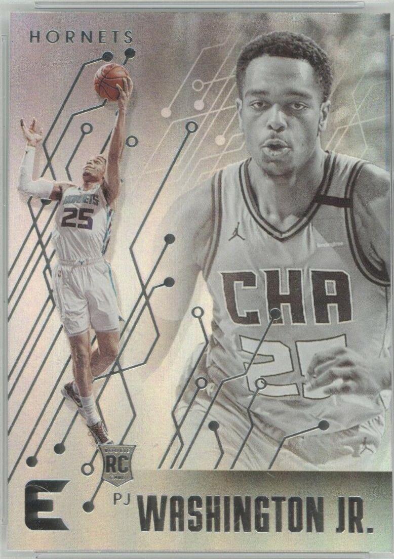 PJ Washington Jr. #234
