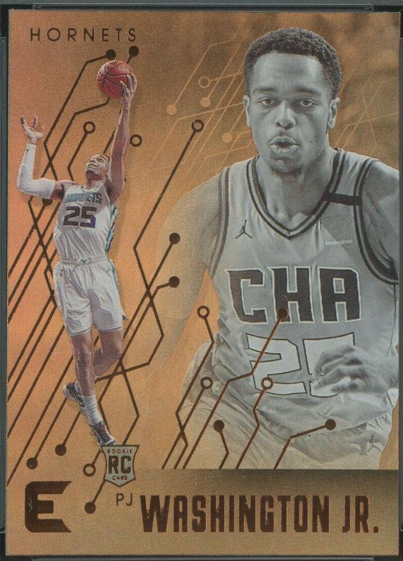 PJ Washington Jr. [Bronze] #234