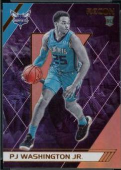 PJ Washington Jr. [Bronze] #288