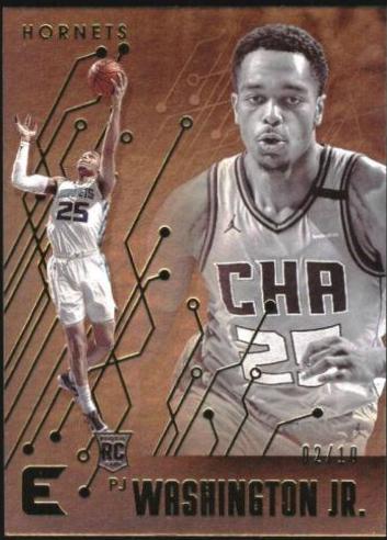 PJ Washington Jr. [Gold] #234