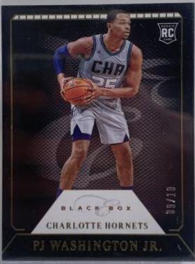 PJ Washington Jr. [Gold] #301
