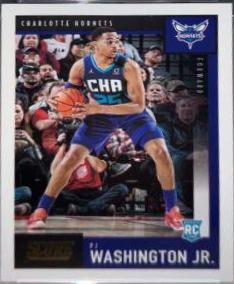 PJ Washington Jr. [Gold] #605