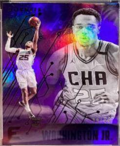 PJ Washington Jr. [Purple] #234