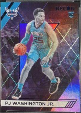 PJ Washington Jr. [Purple] #288