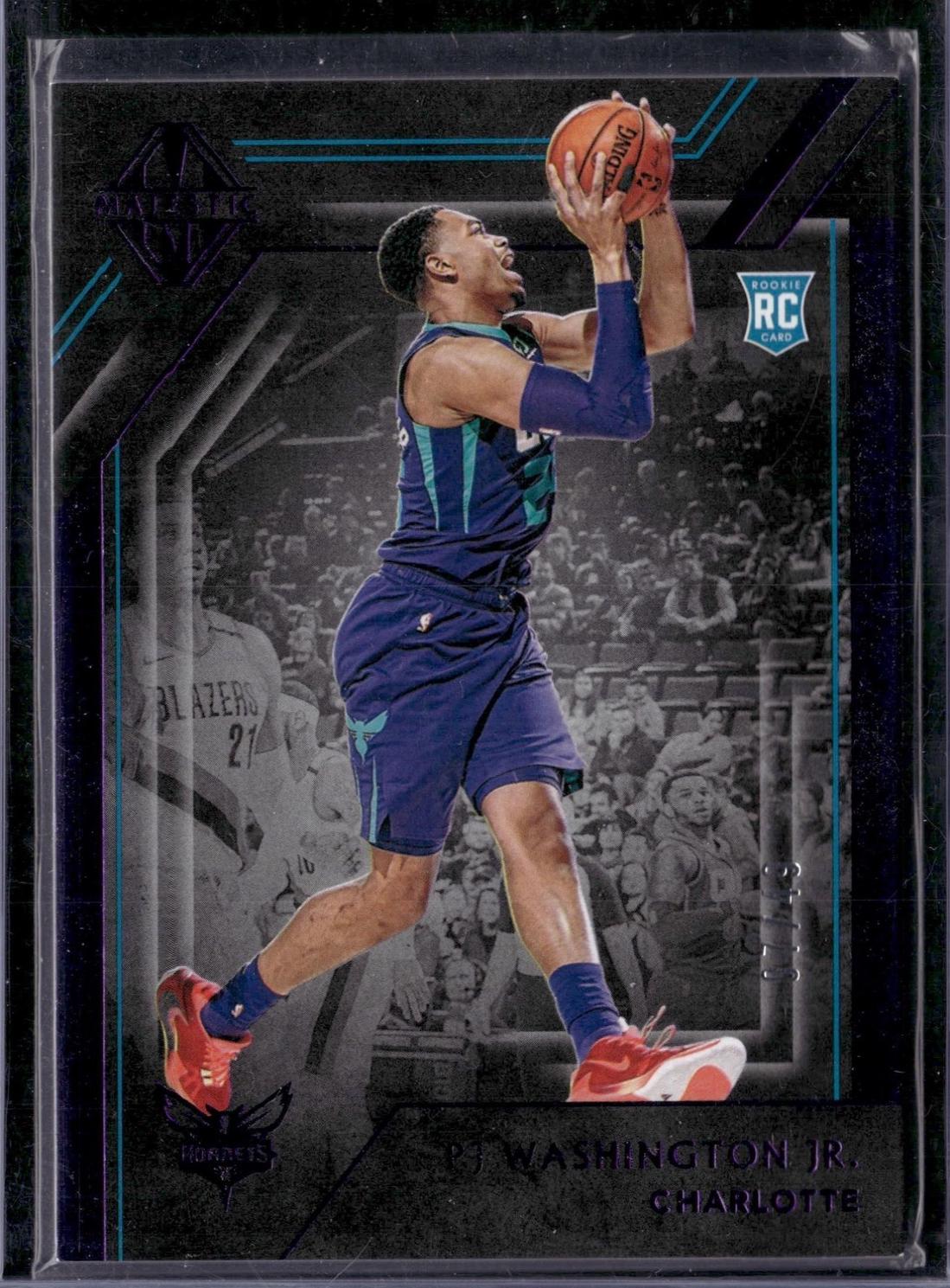 PJ Washington Jr. [Purple] #343