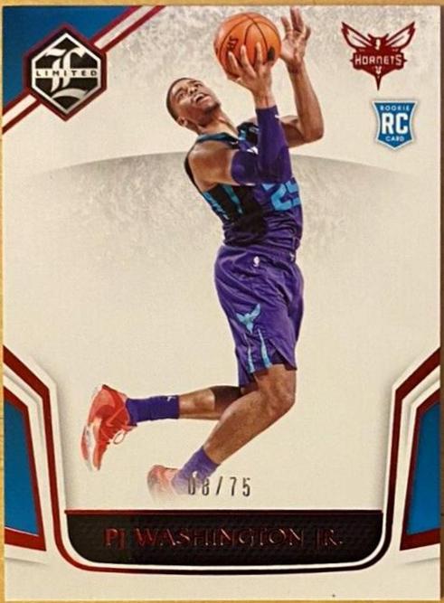 PJ Washington Jr. [Red] #387