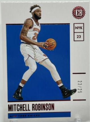 Mitchell Robinson #23