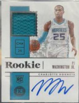 PJ Washington Jr. [Jersey Autograph] #215
