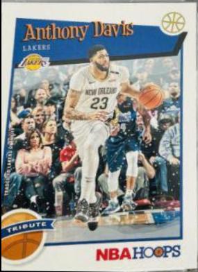Anthony Davis [Winter] #294