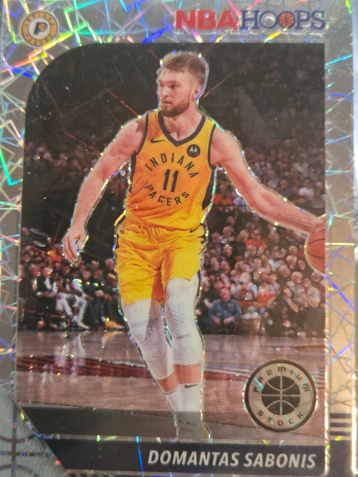 Domantas Sabonis [Silver] #76