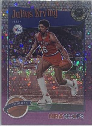 Julius Erving [Purple] #293