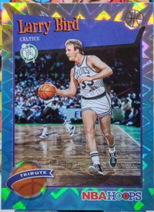 Larry Bird [Teal Explosion] #289