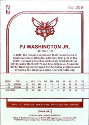 PJ Washington Jr. [Red Back] #209