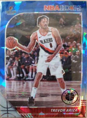 Trevor Ariza [Blue] #197