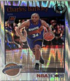Charles Barkley [Flash] #281