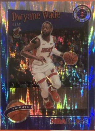 Dwyane Wade [Blue Flash] #287