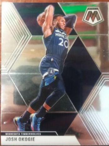 Josh Okogie #113