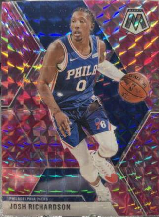Josh Richardson [Pink Camo] #169